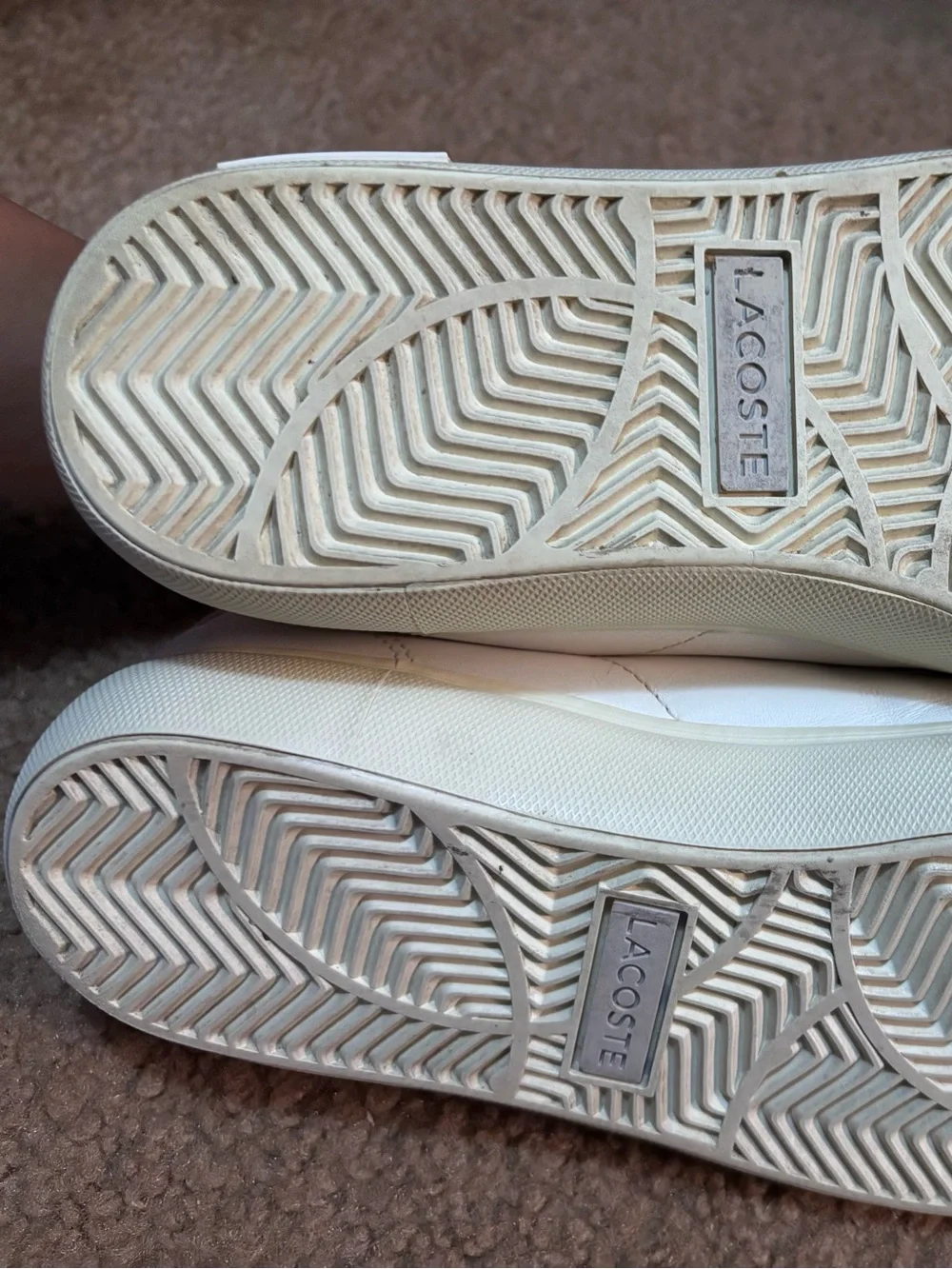 Lacoste classic low